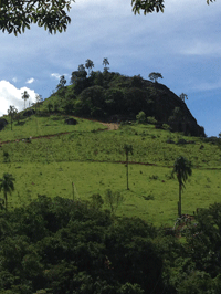 Parque Dos Sonhos - Socorro