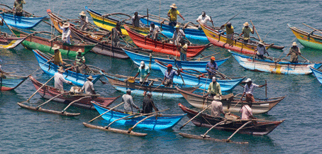 Image credit: Cor Lievendag - Sri Lanka